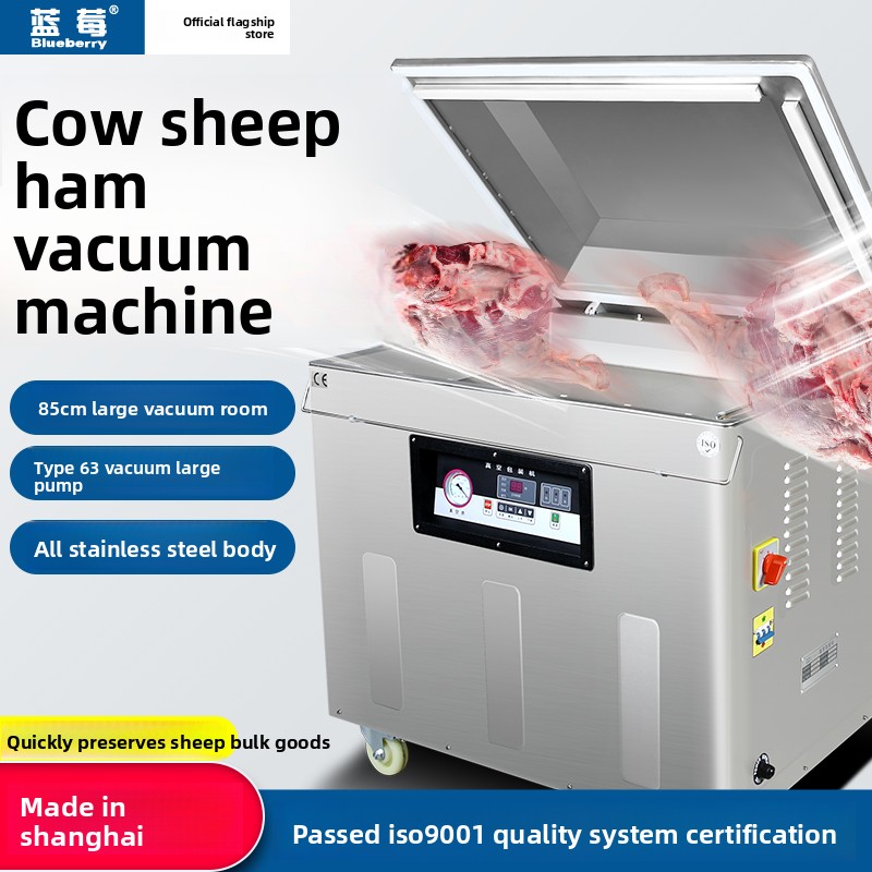 YGPACK DZQ-800L Single Chamber Vacuum Sealer