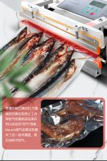 YGPACK DZW-500T External Suction Vacuum Sealer - Image 7